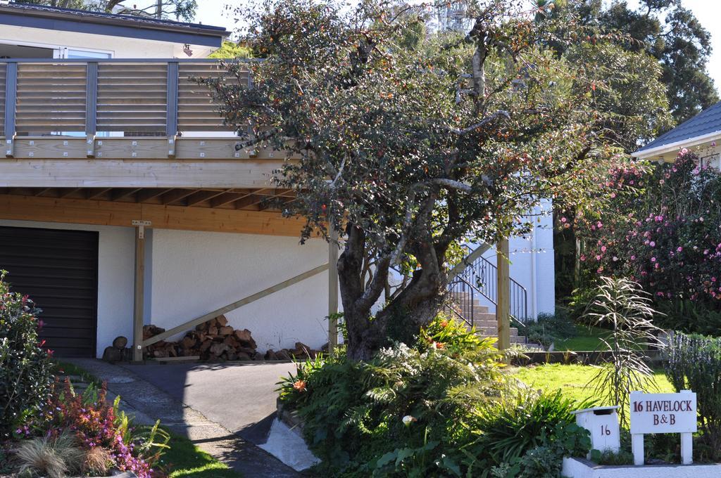 Bed and Breakfast 16 Havelock à New Plymouth Extérieur photo