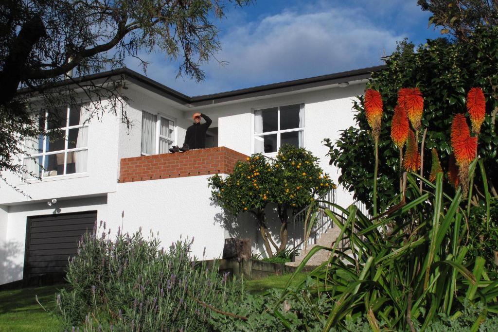 Bed and Breakfast 16 Havelock à New Plymouth Extérieur photo